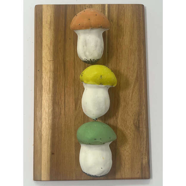 Spalvoti meduoliniai grybukai 